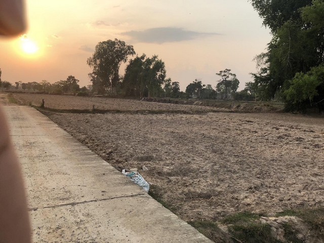 ขายที่ดิน 6 ไร่  หมู่บ้านกลาง ต.ขะยูง อ.อุทุมพรพิสัย จ.ศรีสะเกษ